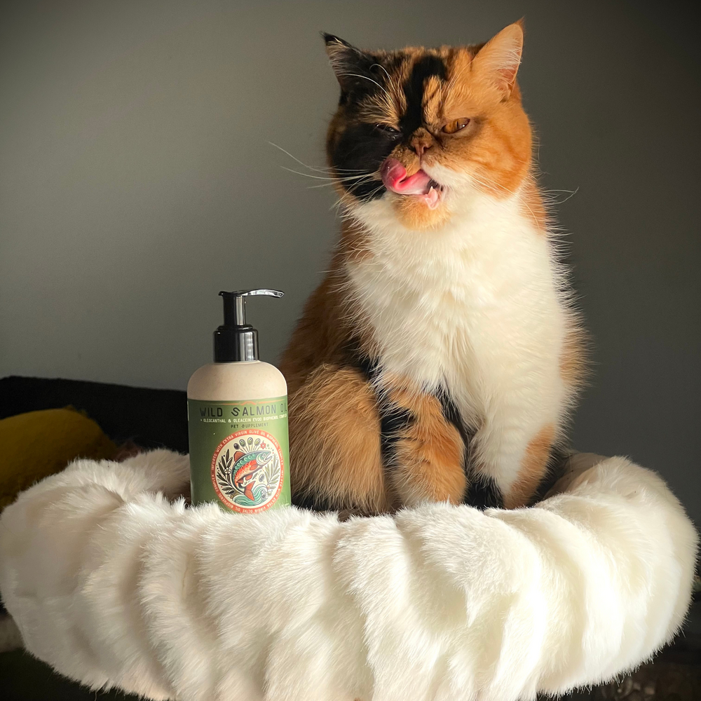 
                      
                        OLIGEN Pet Health | Wild Salmon Oil Infused with Oleocanthal and Oleacein (8 oz)
                      
                    